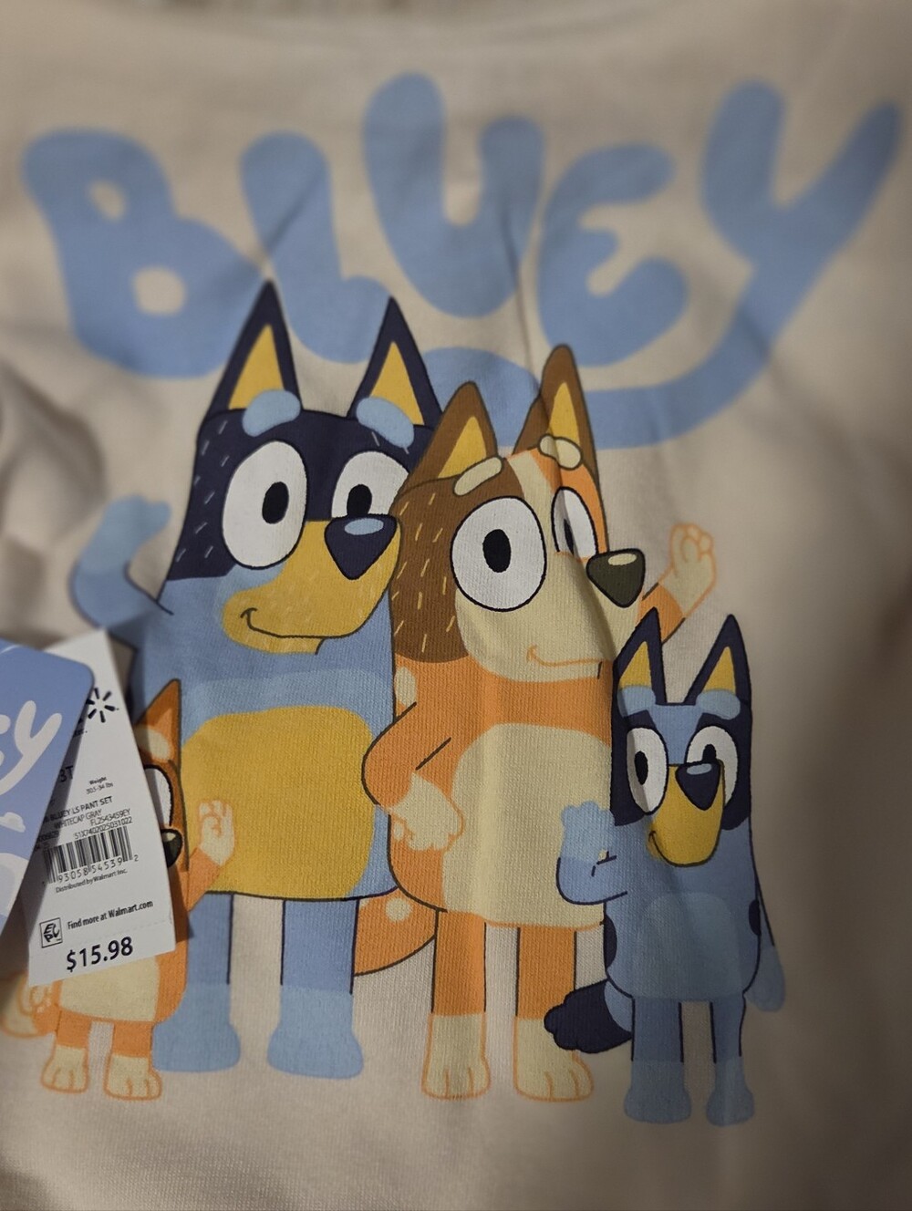 Bluey Family Bib - Hooded Sweat Suit W/ Cargo Style Sweat Pants  3T